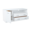 JULIA - Mueble de TV con 2 cajones y 1 puerta - Blanco mate H55cm W110cm D41cm