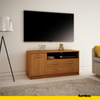 JULIA - Mueble de TV con 2 cajones y 1 puerta - Aliso H55cm W110cm D41cm